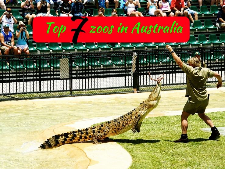 Top 7 zoos in Australia Hello Travel Buzz